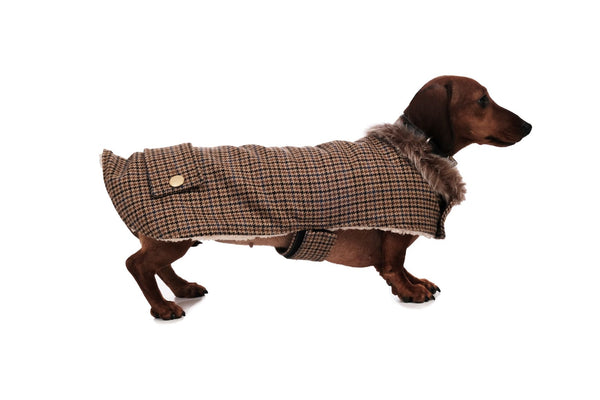 Tweed Dog Coat